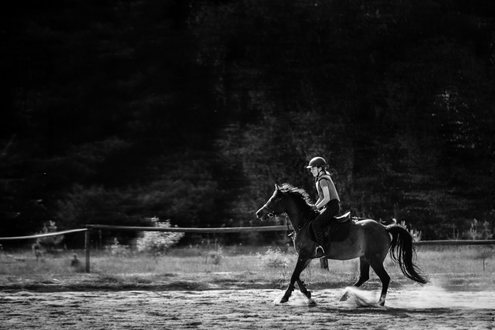 dziewczynka na koniu