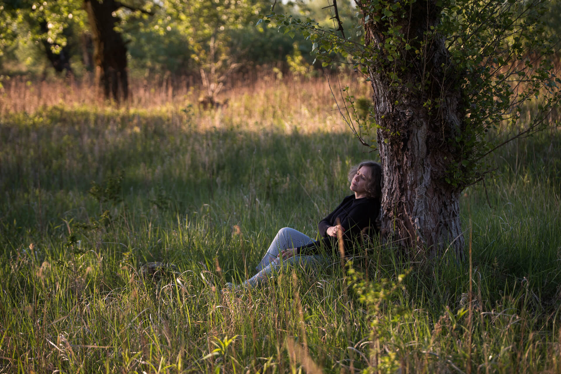 Sesja wizerunkowa o świcie, kobieta siedzi pod drzewem